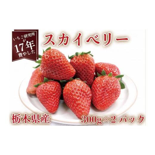 ふるさと納税 いちご 栃木県 矢板市 先行予約 2026年12月中旬より順次発送予定・いちご研究所が17年費やした スカイベリー600g|いちご イチゴ 苺 フルーツ …