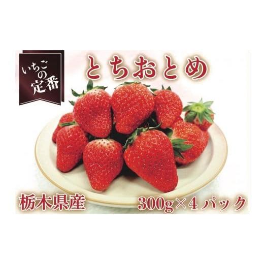 ふるさと納税 いちご 栃木県 矢板市 先行予約 2026年12月中旬より順次発送予定・いちごの定番 とちおとめ1200g|いちご イチゴ 苺 フルーツ 果物 産地直送 栃…