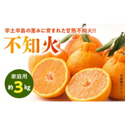ふるさと納税 みかん・柑橘類 デコポン 熊本県 宇土市 54-14 先行予約 福島オレンジ農園 家庭用 減農薬栽培 おいしい樹成甘熟 不知火 約3kg
