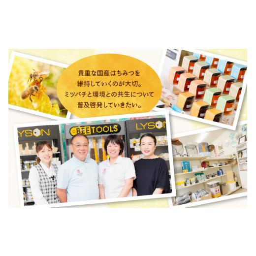 ふるさと納税 加工品等 はちみつ 岐阜県 本巣市  国産はちみつ アカシア・百花・トチ ( 300g × 3本 ) はちみつ ハチミツ 蜂蜜 ハニー ボトル たれにくい 送料…の画像