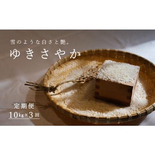 ふるさと納税 米 北海道 当麻町  令和８年産先行受付 長谷川農園ゆきさやか 10kg（3回コース） 定期便の画像