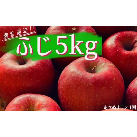 ふるさと納税 りんご 岩手県 雫石町 雫石町産 リンゴ (ふじ)5kg 数量限定 /農家直送 あさぬまリンゴ園