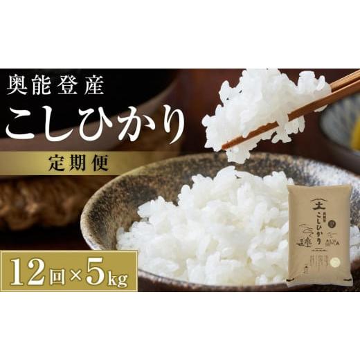 ふるさと納税 石川県 能登町 [復興支援][定期便]奥能登産こしひかり5kgを1年間 毎月お届け