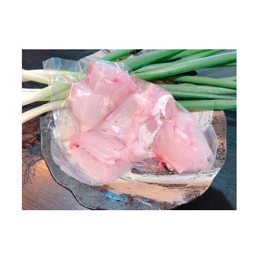 ふるさと納税 海鮮鍋 高知県 南国市 幻 の 天然 クエ 直送 クエ鍋 用400ｇ 魚 魚介 高級 人気 おすすめ 贈答用 ゆず庵 高知県 南国市_3