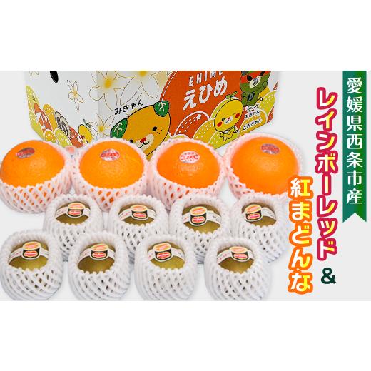 ふるさと納税 果物の詰合せ 愛媛県 西条市 愛媛県西条市産 紅まどんな キウイ 詰め合わせ レインボーレッドキウイと紅まどんなのセット 先行予約・11月下旬〜1…