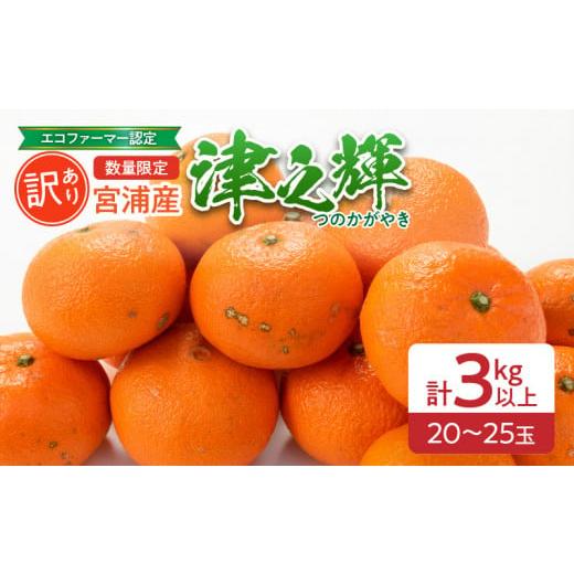 ふるさと納税 果物類 みかん 宮崎県 日南市 訳あり 津之輝 計3kg以上 先行予約 令和8年発送 期間限定 数量限定 国産 食品 果物 くだもの フルーツ 柑橘 みかん…