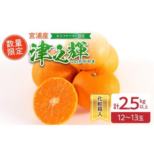 ふるさと納税 果物類 みかん 宮崎県 日南市 津之輝 計2.5kg以上 化粧箱入り 先行予約 令和8年発送 期間限定 数量限定 国産 食品 果物 くだもの フルーツ 柑橘 …