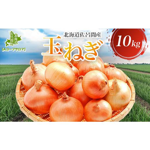 ふるさと納税 野菜類 玉ねぎ 北海道 佐呂間町 玉ねぎ 10kg 北海道 佐呂間産 （2026年10月出荷開始先行予約） ふるさと納税 人気 おすすめ ランキング 野菜 玉…の画像