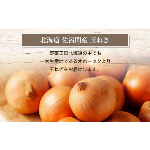 ふるさと納税 野菜類 玉ねぎ 北海道 佐呂間町 玉ねぎ 10kg 北海道 佐呂間産 （2026年10月出荷開始先行予約） ふるさと納税 人気 おすすめ ランキング 野菜 玉…の画像