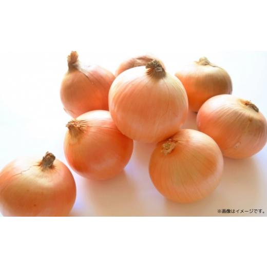 ふるさと納税 野菜類 玉ねぎ 北海道 佐呂間町 玉ねぎ 10kg 北海道 佐呂間産 （2026年10月出荷開始先行予約） ふるさと納税 人気 おすすめ ランキング 野菜 玉…の画像