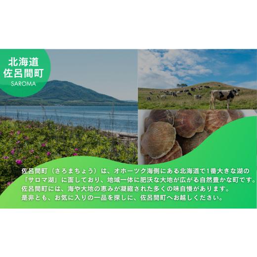 ふるさと納税 野菜類 玉ねぎ 北海道 佐呂間町 玉ねぎ 10kg 北海道 佐呂間産 （2026年10月出荷開始先行予約） ふるさと納税 人気 おすすめ ランキング 野菜 玉…の画像