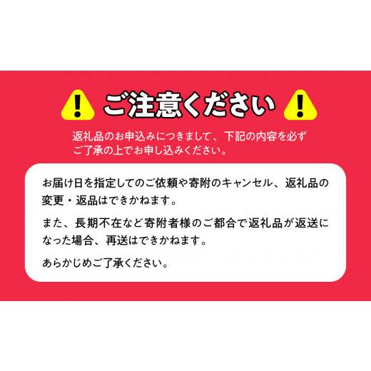 ふるさと納税 野菜類 玉ねぎ 北海道 佐呂間町 玉ねぎ 10kg 北海道 佐呂間産 （2026年10月出荷開始先行予約） ふるさと納税 人気 おすすめ ランキング 野菜 玉…の画像