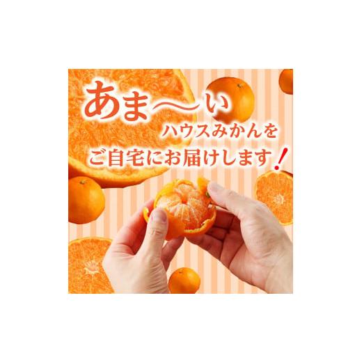 ふるさと納税 佐賀県 玄海町 ★予約受付★【2024年6月以降配送】佐賀県産ハウスみかん　約1.5kg【件数限定】｜furusatochoice｜03