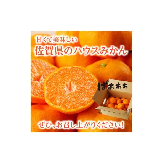 ふるさと納税 佐賀県 玄海町 ★予約受付★【2024年6月以降配送】佐賀県産ハウスみかん　約1.5kg【件数限定】｜furusatochoice｜07