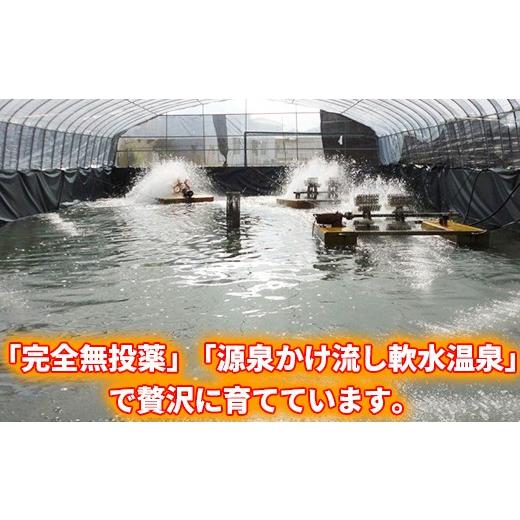 ふるさと納税 うなぎ 大分県 杵築市  日付指定可 温泉うなぎ蒲焼 5尾（180gサイズ） 国産うなぎ 人気 国産 蒲焼 蒲焼き かば焼き 鰻屋 個包装 冷凍 真空 ギフ…の画像