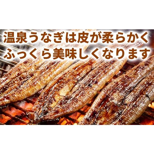 ふるさと納税 うなぎ 大分県 杵築市  日付指定可 温泉うなぎ蒲焼 5尾（180gサイズ） 国産うなぎ 人気 国産 蒲焼 蒲焼き かば焼き 鰻屋 個包装 冷凍 真空 ギフ…の画像