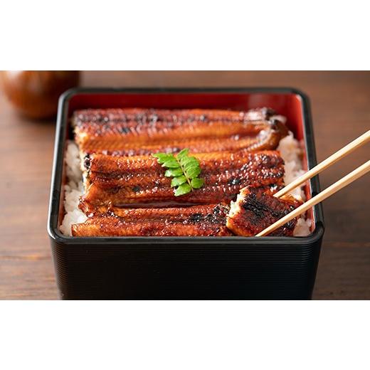 ふるさと納税 うなぎ 大分県 杵築市  日付指定可 温泉うなぎ蒲焼 5尾（180gサイズ） 国産うなぎ 人気 国産 蒲焼 蒲焼き かば焼き 鰻屋 個包装 冷凍 真空 ギフ…の画像