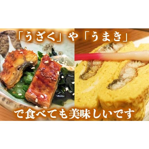ふるさと納税 うなぎ 大分県 杵築市  日付指定可 温泉うなぎ蒲焼 5尾（180gサイズ） 国産うなぎ 人気 国産 蒲焼 蒲焼き かば焼き 鰻屋 個包装 冷凍 真空 ギフ…の画像