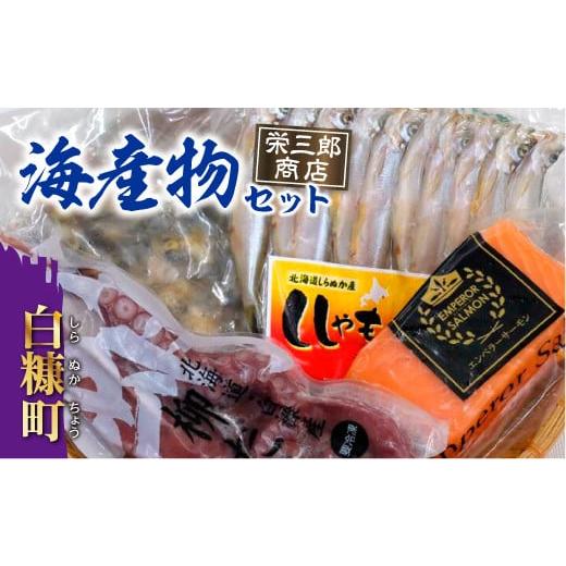 ふるさと納税 魚貝類 サーモン 北海道 白糠町 栄三郎商店海産物セット 魚介セット エンペラーサーモン ししゃも 煮つぶ 柳だこ サーモン アトランティックサー…