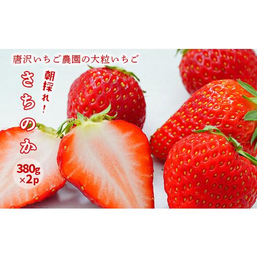 ふるさと納税 いちご 岩手県 一関市 先行予約 唐沢さんちの大粒いちご(さちのか) 朝採り 380g×2パック 果物 フルーツ 苺 イチゴ 岩手県 一関市