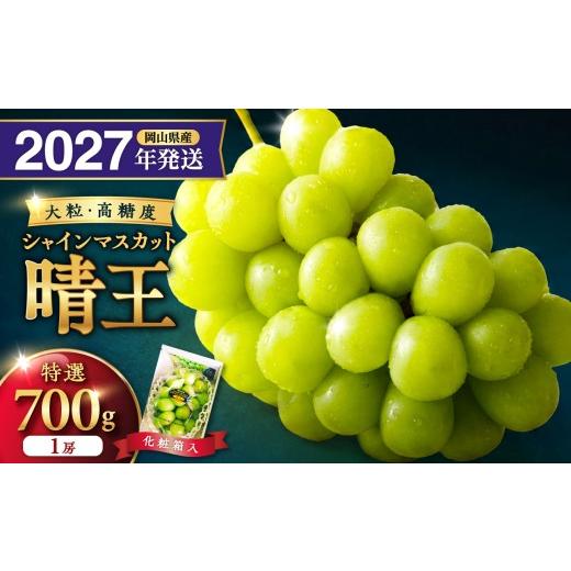 ふるさと納税 ぶどう マスカット 岡山県 備前市 2027年発送分・先行予約開始 岡山県産シャインマスカット「晴王」 特選 大房 化粧箱入 1房(約700g) 202…