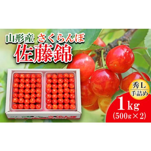 ふるさと納税 山形県 山形市 さくらんぼ 佐藤錦 L(500g×2)手詰 [令和6年産先行予約]FS20-090 フルーツ くだもの 果物 山形 山形県 山形市 2024年産