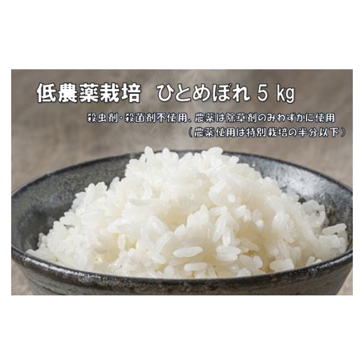 ふるさと納税 米 ひとめぼれ 岩手県 一関市 新米先行予約 令和7年産 新米 低農薬栽培米 ひとめぼれ 5kg 精米
