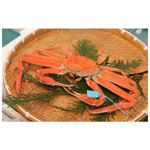 ふるさと納税 カニ ずわいガニ 石川県 - 加能ガニ(中) ボイル