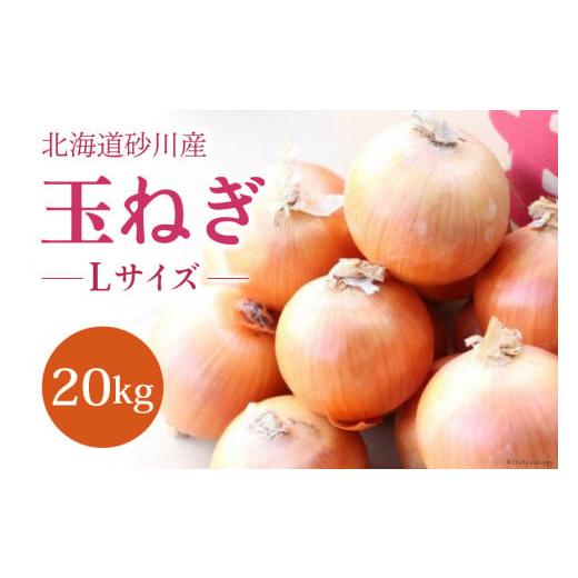 ふるさと納税 野菜類 玉ねぎ 北海道 砂川市 訳あり 玉ねぎ Lサイズ 20kg 期間限定出荷 JA新すながわ 砂川市玉葱振興会 北海道 砂川市 12260895 たまねぎ タマ…
