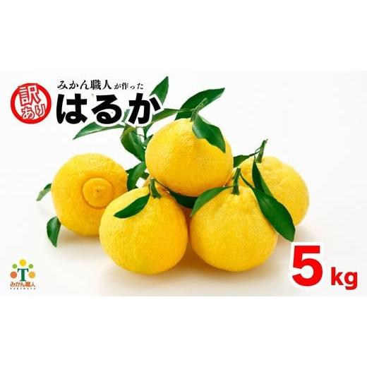 ふるさと納税 果物類 みかん 愛媛県 愛南町 先行受付 訳あり はるか 5kg なくなり次第終了 柑橘 かんきつ 期間限定 みかん 蜜柑 冬 糖度 みかん職人武田屋 訳…