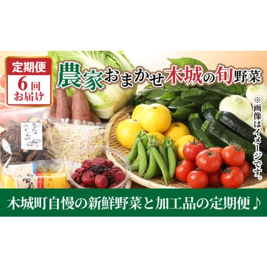 ふるさと納税 セット・詰合せ 宮崎県 木城町 農家おまかせ木城の旬野菜定期便6回 K04_T002_2の画像