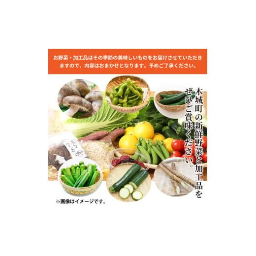 ふるさと納税 セット・詰合せ 宮崎県 木城町 農家おまかせ木城の旬野菜定期便6回 K04_T002_2の画像