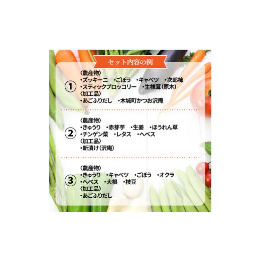 ふるさと納税 セット・詰合せ 宮崎県 木城町 農家おまかせ木城の旬野菜定期便6回 K04_T002_2の画像