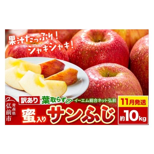 ふるさと納税 りんご 青森県 弘前市 26年11月下旬発送 葉取らず サン