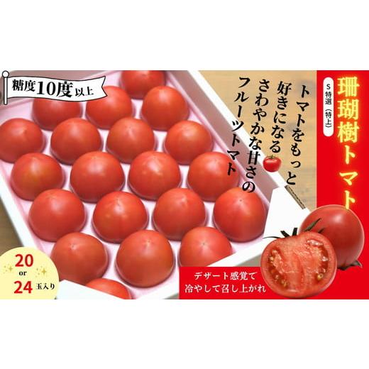 ふるさと納税 野菜類 トマト 徳島県 小松島市 先行予約 フルーツ トマト 1kg S 特選 1kg 糖度 10以上 冷蔵 野菜 ギフト プレゼント 贈答 缶 ジュース にも 珊…