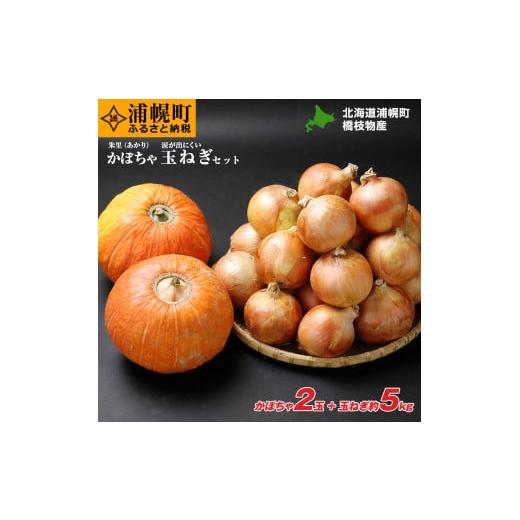 ふるさと納税 野菜類 北海道 浦幌町 かぼちゃ(2玉)とたまねぎ(約5kg)のセット 橋枝物産 9月中旬以降の発送