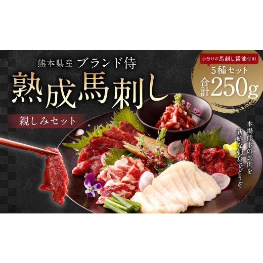 ふるさと納税 馬肉 熊本県 熊本市 R8年熊本地震復興支援 令和8年度熊本地震復興支援 ブランド 侍 熟成 馬刺し 親しみセット 5種×各50g 計250g