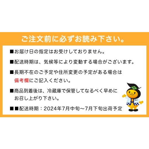 限定版 ふるさと納税 福岡県 うきは市 P142【先行予約】今村錦水園 ピオーネ 4房前後 (約2kg) 7月中旬〜7月下旬お届け