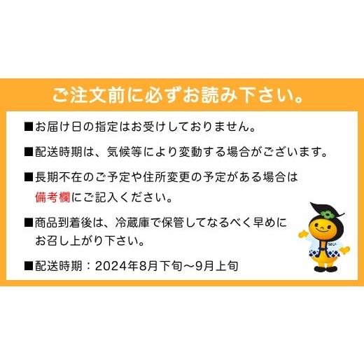 ふるさと納税 福岡県 うきは市 P146【先行予約】宝玉農園 ピオーネ 5〜7房 (約3kg) 7房 約3kg