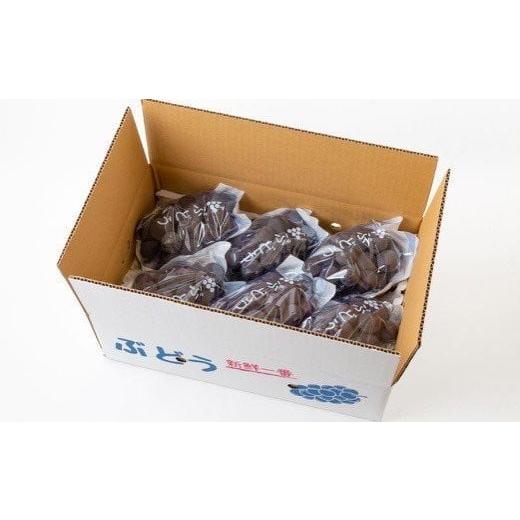 ふるさと納税 福岡県 うきは市 P146【先行予約】宝玉農園 ピオーネ 5〜7房 (約3kg) 7房 約3kg