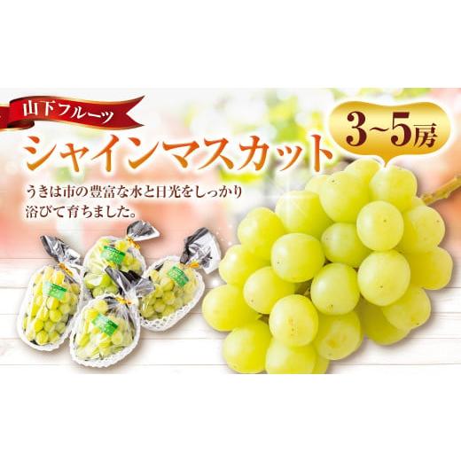 ふるさと納税 ぶどう マスカット 福岡県 うきは市 先行予約 山下フルーツ シャインマスカット 3房〜5房 2026年8月上旬〜9月上旬より順次発送予定 葡萄 ぶどう…