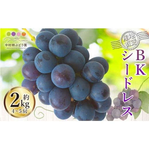 ふるさと納税 ぶどう 福岡県 うきは市 先行予約 中村柿ぶどう園 BKシードレス 4房から5房 (約2kg) 2026年8月下旬〜9月上旬より順次発送予定 葡萄 ぶどう ブ…