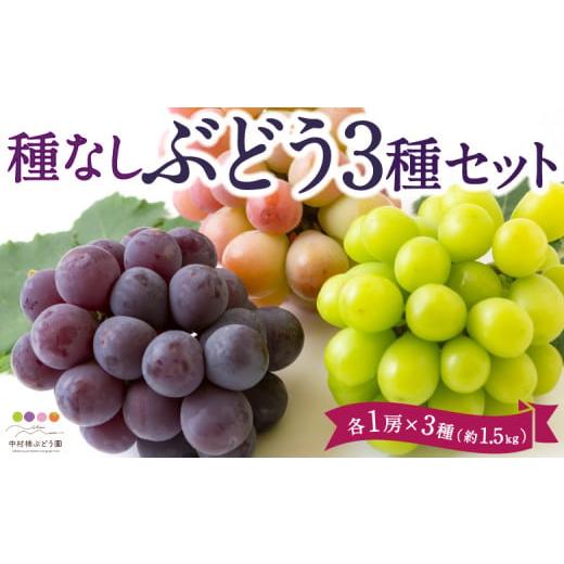 ふるさと納税 ぶどう 福岡県 うきは市 先行予約 中村柿ぶどう園 種なしぶどう 3種 セット 各1房 × 3種 (約1.5kg) 2026年7月下旬〜9月上旬より順次発送予定…
