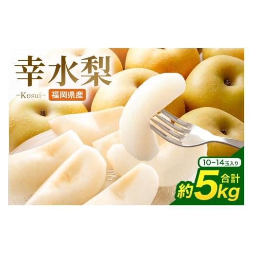 ふるさと納税 梨 福岡県 うきは市 ふるさと納税 先行予約 幸水梨 幸水 5kg 10玉〜14玉 梨 なし ナシ 完熟 福岡県産 うきは市 大容量 フルーツ 果物 くだもの …