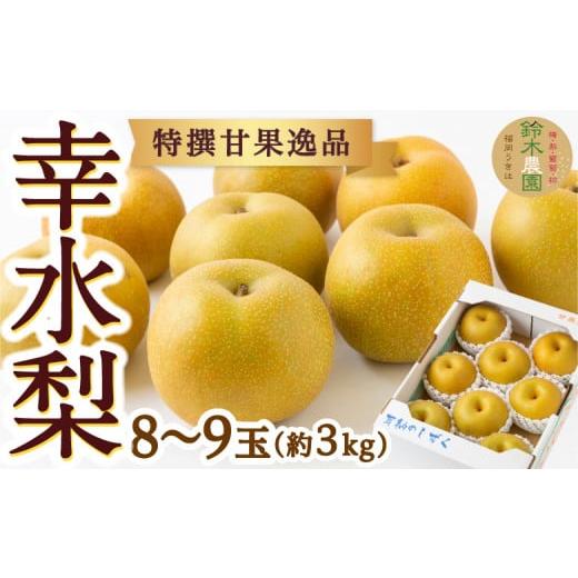 ふるさと納税 梨 福岡県 うきは市 先行予約 鈴木農園 特選甘果逸品 幸水梨 8玉から9玉 (約3kg) 2026年8月上旬より順次発送予定 梨 なし ナシ 幸水 果物 く…