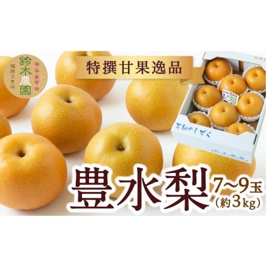 ふるさと納税 梨 福岡県 うきは市 先行予約 鈴木農園 特撰甘果逸品 豊水梨 7玉から9玉 (約3kg) 2026年8月下旬から9月上旬より順次発送予定 完熟梨 梨 なし …