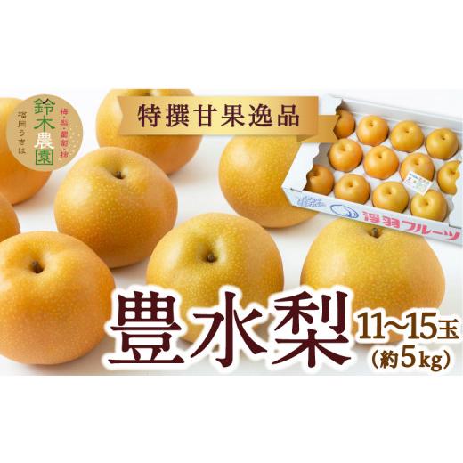 ふるさと納税 梨 福岡県 うきは市  先行予約 鈴木農園 特撰甘果逸品 豊水梨 11玉から15玉 （約5kg） 2026年8月下旬〜9月上旬より順次発送予定 完熟梨 梨 なし …_1