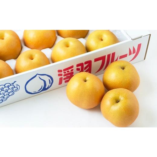 ふるさと納税 梨 福岡県 うきは市  先行予約 鈴木農園 特撰甘果逸品 豊水梨 11玉から15玉 （約5kg） 2026年8月下旬〜9月上旬より順次発送予定 完熟梨 梨 なし …_2