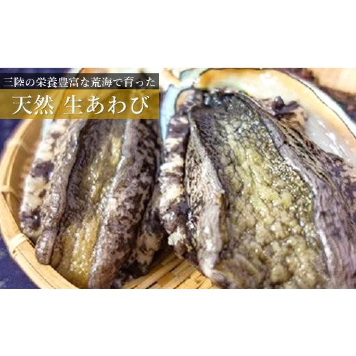 ふるさと納税 魚貝類 アワビ 岩手県 久慈市 期間限定 とれたて産地直送 三陸の荒波で育った久慈産天然「生あわび」300g 「冷蔵」生あわび 300g