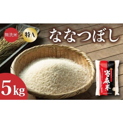 ふるさと納税 無洗米 北海道 当麻町 北海道 産地直送 定期便 JA当麻 特Aななつぼし無洗米 令和7年産新米 5kg